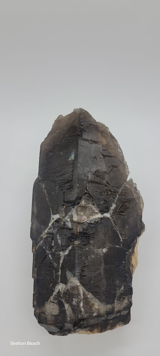 1500G Smoky Quartz Chunk – Grounding, Protection & Transformation