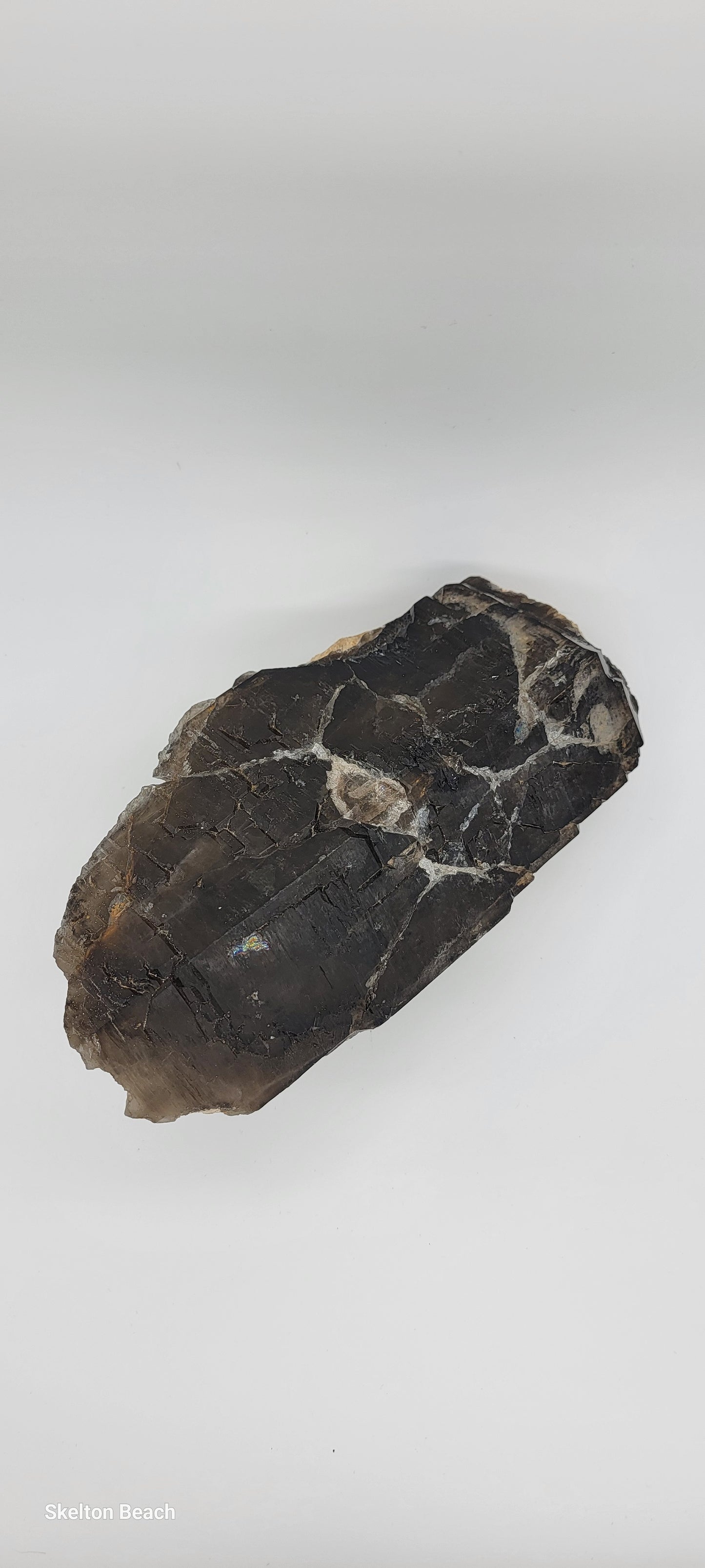 Majestic Smoky Quartz Crystal: Grounding and Protective Energy | 1500 gram